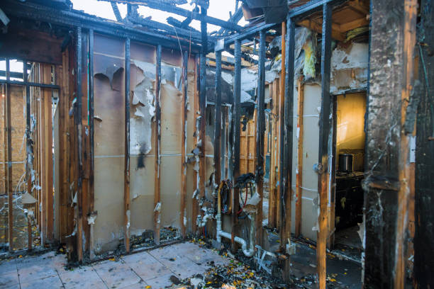 Professional Fire Damage Assessment technician working in Hutto, TX