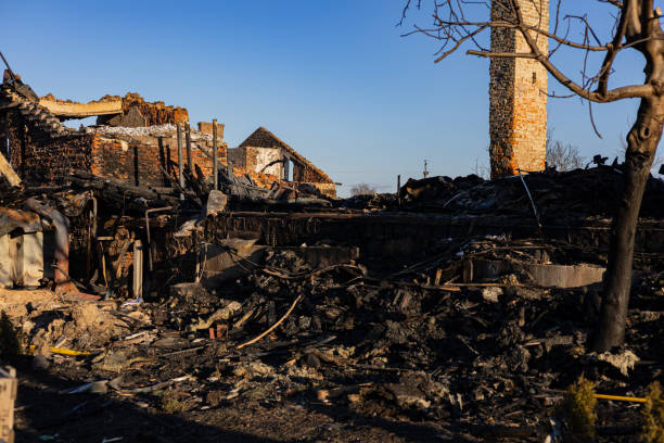 Reliable Fire Damage Assessment contractor in Hutto, TX by Fire Damage Doption