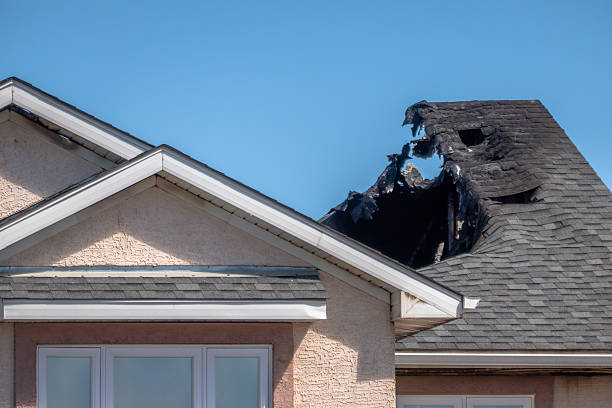 Top rated local Fire Damage Assessment specialists in Hutto, TX